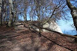 Jasmund National Park (Rügen)